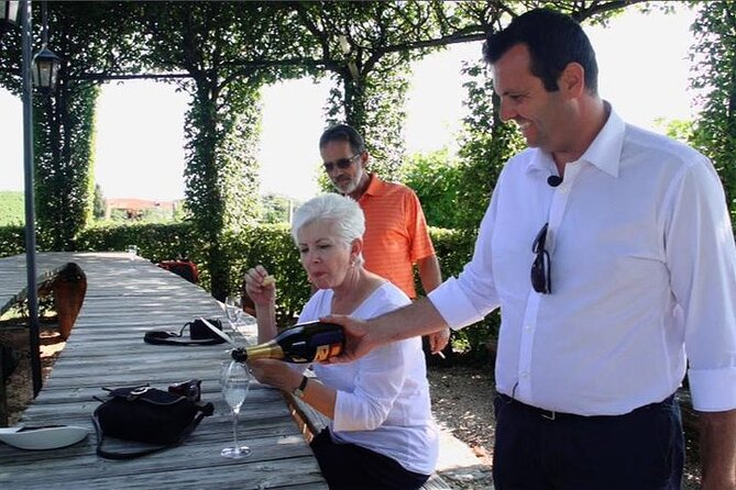 Private Prosecco , Hilltowns & Palladian Villa Tour from Venice - Guide quality, group size, and the pace of the day