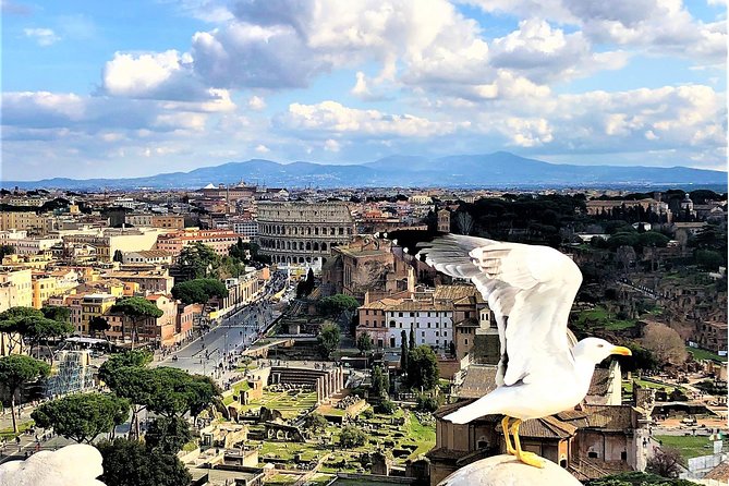 Private Rome WOW Tour in 1 Day: Luxury Car, Guide, Tkts & Lunch! - Hotel Pickup That Keeps Your Morning Low-Stress