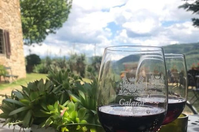 Private Self-Guided E-Bike Ride in Tuscany with Vineyard Visit - Stop 2: The Ride Toward the Arno, Forest Roads, and Steady Breathing