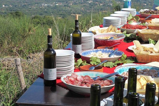 Private tour of Etna and Winery Visit with Food and Wine Tasting from Taormina - Etna Winery Lunch With Cellar Time and a Red-and-White Tasting