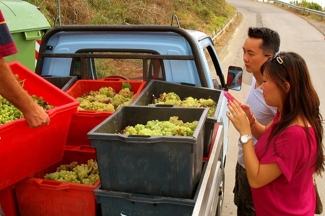 Private Tour to Cinque Terre from Florence - Pisa Upgrade: Worth It or Too Much in One Day?