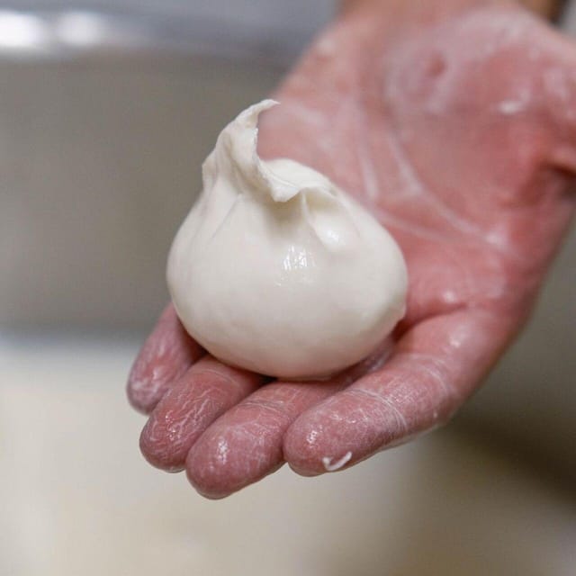 Puglia: Masseria Seppunisi Tour, Cheese, Burrata Tasting - Barn to Dairy: Where Milk Turns Into Cheese