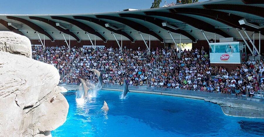 Riccione: Oltremare Park Entrance Ticket - Why Oltremare in Riccione feels like more than a day out