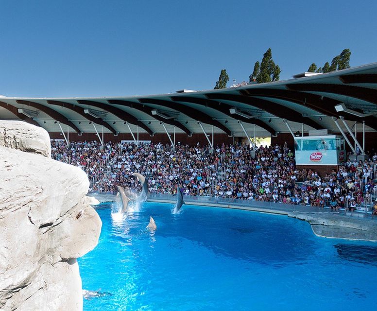 Riccione: Oltremare Park Entrance Ticket - Dolphin Lagoon: the show that sets the tone