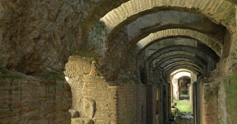 Rome: Ancient History and Colosseum Underground Tour - Down Below: Gladiator Passages and Animal Cages