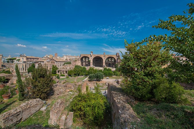 Rome: Colosseum Arena, Roman Forum & Palatine Hill Tour - Group size, timing, and why heat planning is not optional