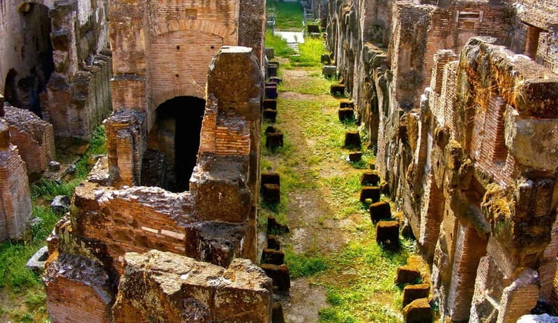 Rome: Colosseum Gladiator's Arena and Roman Forum Tour - Timing and crowd reality: how 2.5 to 3 hours plays out