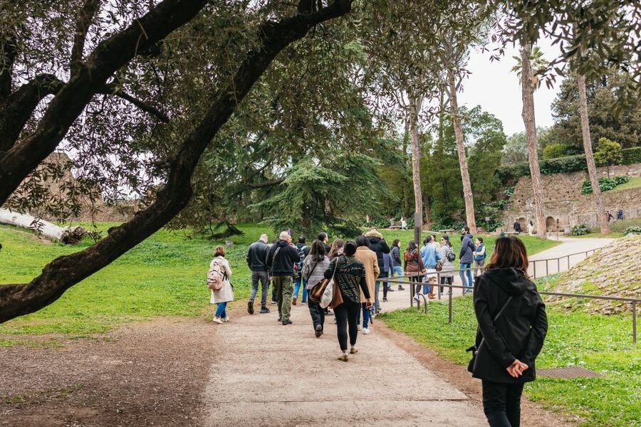 Rome: Colosseum, Palatine Hill & Roman Forum Guided Tour - Key highlights to look for