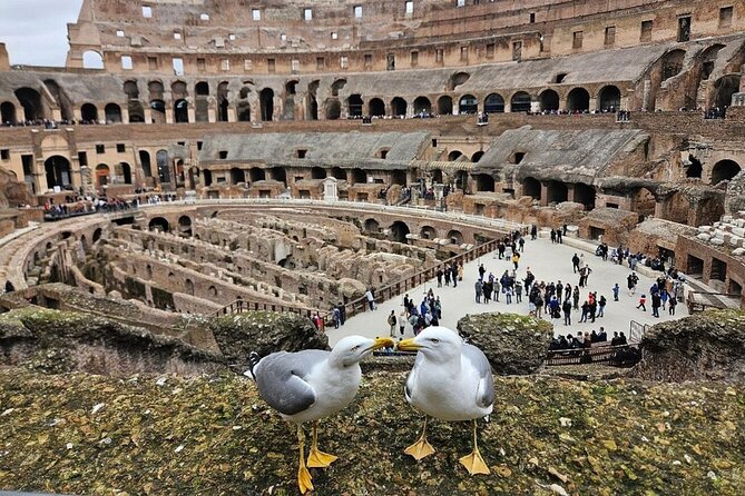 Rome: Colosseum, Roman Forum & Palatine Hill Visit + Audio Guide - Pacing Without a Live Guide: Freedom With Responsibility