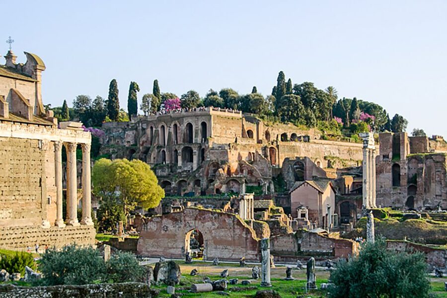 Rome: Guided Tour of Colosseum, Roman Forum & Palatine Hill - Key highlights worth your attention