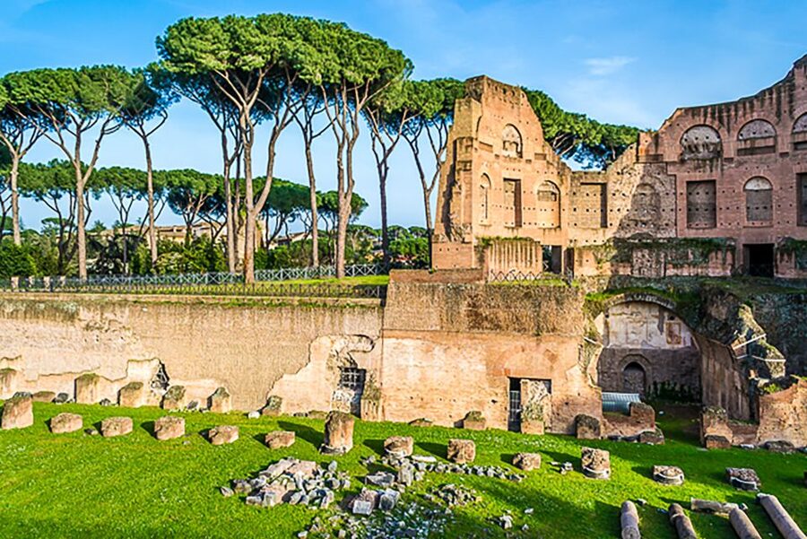 Rome: Guided Tour of Colosseum, Roman Forum & Palatine Hill - Quick practical tips so your visit feels easy