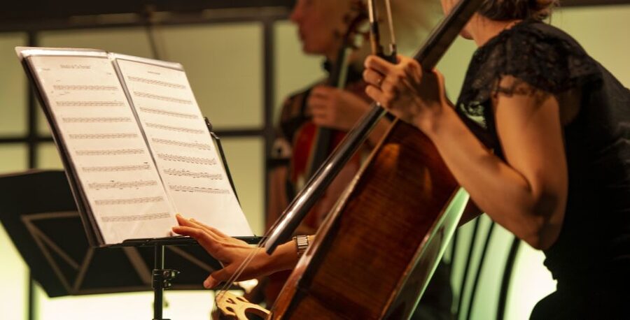 Rome: Opera Concert at Palazzo Poli - Fontana di Trevi - Should you book the Opera Concert at Palazzo Poli?