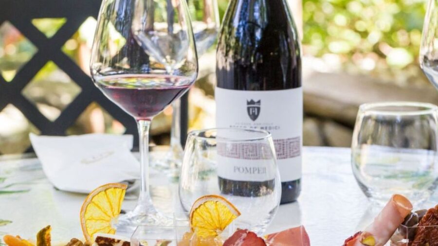 Rome: Pompeii Tour with Wine and Lunch by High Speed Train - Key points before you go