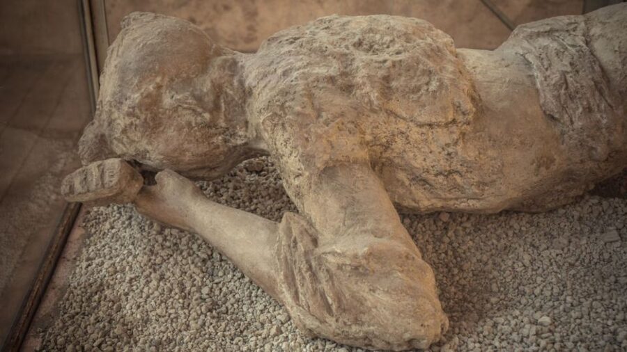 Rome: Pompeii Tour with Wine and Lunch by High Speed Train - Rome to Pompeii without the bus slog