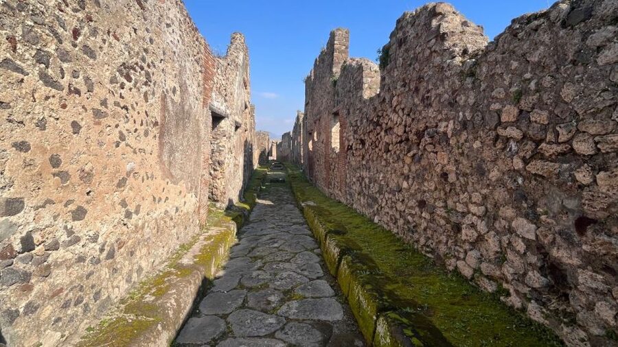 Rome: Pompeii Tour with Wine and Lunch by High Speed Train - The Pompeii guided walk: streets, bakeries, baths, brothels, and casts