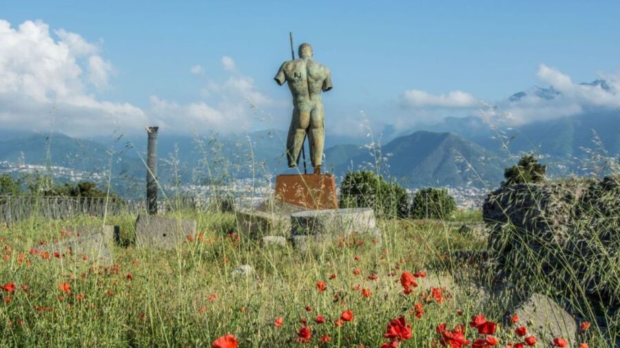 Rome: Pompeii Tour with Wine and Lunch by High Speed Train - Termini meeting point: Caffe Vergnano inside, track 1 nearby