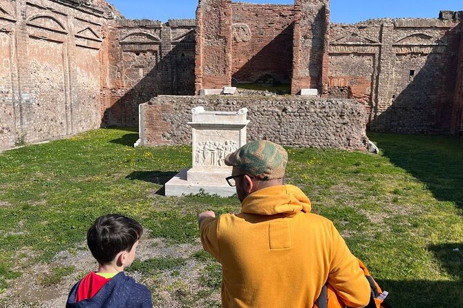 Rome to Pompeii Guided Tour with Wine & Lunch by High Speed Train - Who this Pompeii and wine trip is best for