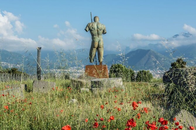 Rome to Pompeii Guided Tour with Wine & Lunch by High Speed Train - Should you book this Rome to Pompeii tour?