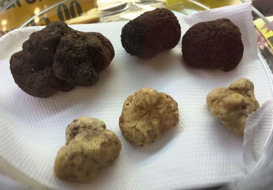 Rome: Trastevere Guided Food and Wine Tour with 20+ Tastings - Trastevere is the right stage for a 4-hour food crawl
