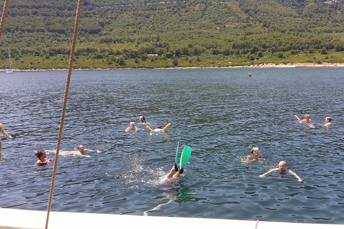 Sailing day trip on Tall Ship Andrea Jensen with Lunch and Wine - The secluded bay swim and snorkel: the main event