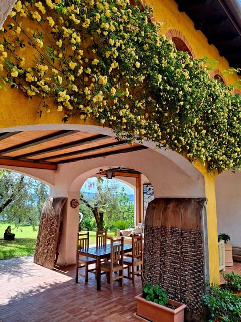 San Felice: Olive Oil Tasting with local food on Garda Hills - Key moments worth planning for