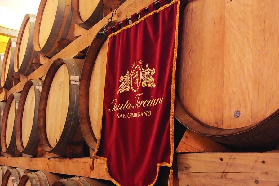 San Gimignano: Lunch or Dinner at a Winery with Wine Tasting - Who this suits best, and who should plan carefully