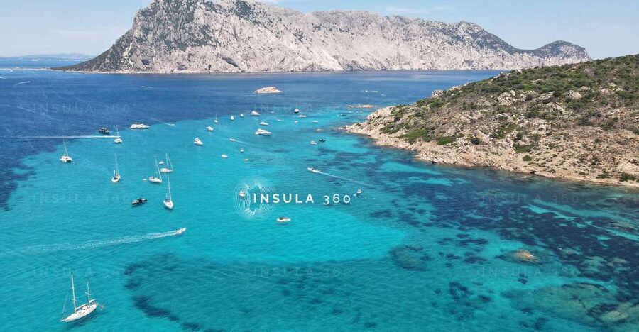 San Teodoro: Tavolara and Molara Islands Dinghy Excursion - Key reasons this Tavolara and Molara RIB trip gets rave reviews