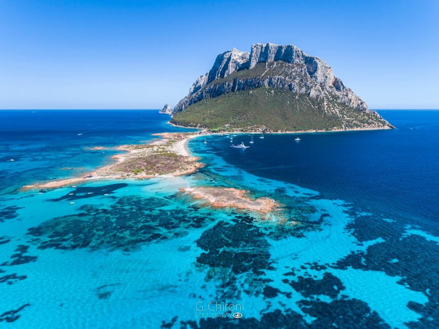 Sardegna: Tavolara Boat Tour with Snorkeling - Orecchio di Ulisse (Grotta della Madonnina): Cave Scenery Plus Wildlife-Spotting