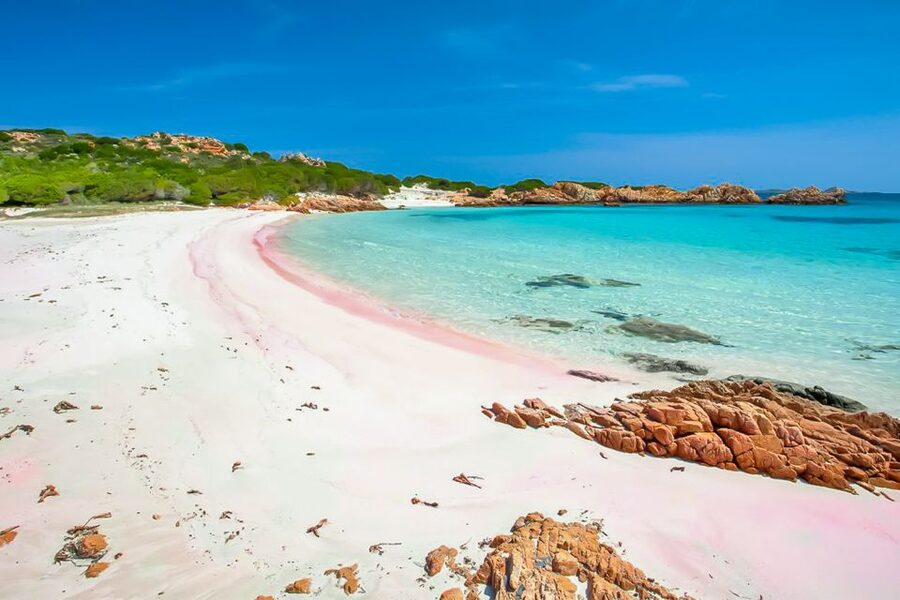 Sardinia: La Maddalena Archipelago Full-Day Trip by Boat - Key highlights worth planning around