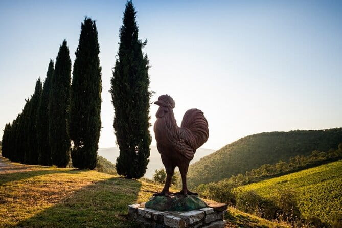 Semi Private Deep Wine Chianti and San Gimignano from Florence - Key things I’d plan around