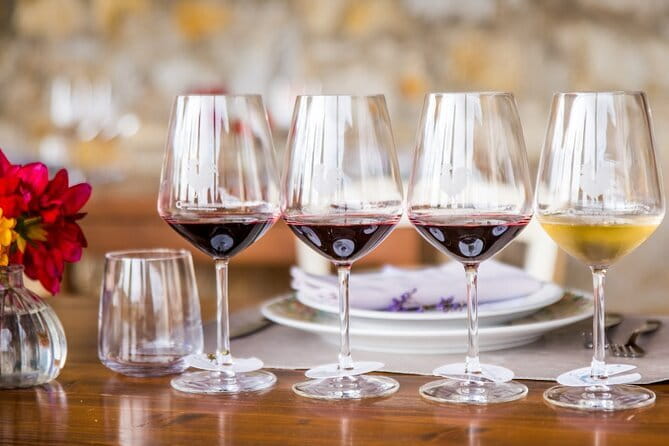 Semi Private Deep Wine Chianti and San Gimignano from Florence - How to taste better during your Chianti wine and olive oil session