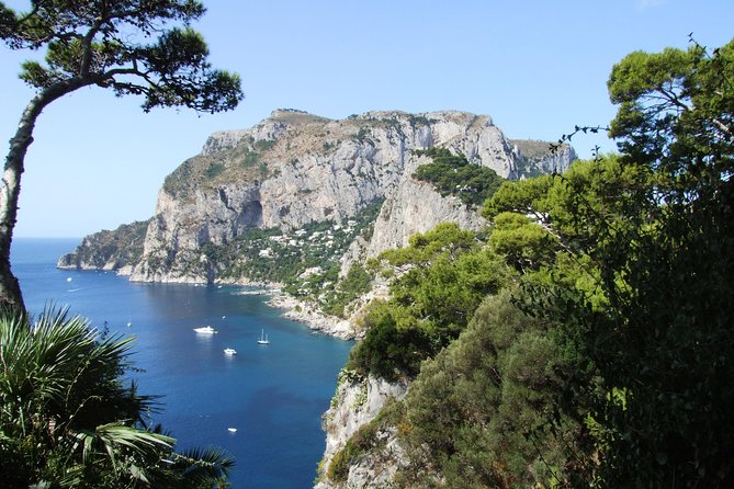 Shared Capri & Anacapri Full-Day Tour from Sorrento - From Sorrento To The Port: Starting Clean at 8:00