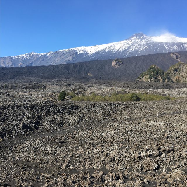 Sicily: Etna Volcano & Taormina Tour - Tickets, meals, and the money math nobody wants to do