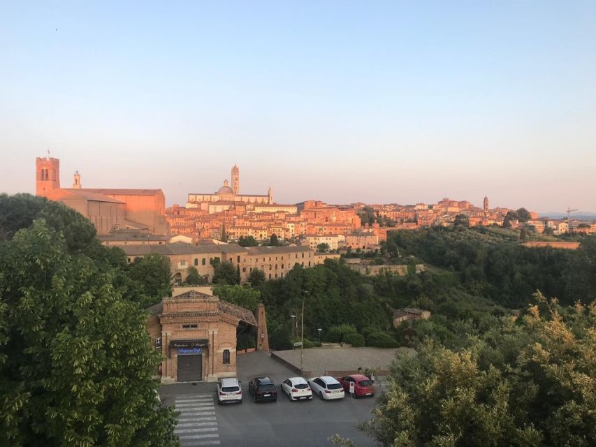 Siena: 3h Private City Walking Tour with Optional Cathedral - Baptistery and the Duomo Area: You’ll See It, Then Decide