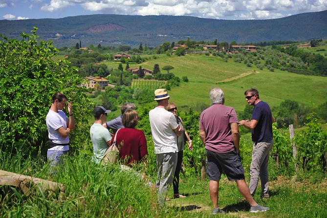 Siena: A Wine Tour and Tasting Experience - Light Tuscan Lunch Pairing With Wine and Olive Oil