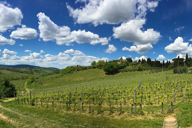 Siena: A Wine Tour and Tasting Experience - Small Group Energy: Why Up to 12 Makes a Big Difference