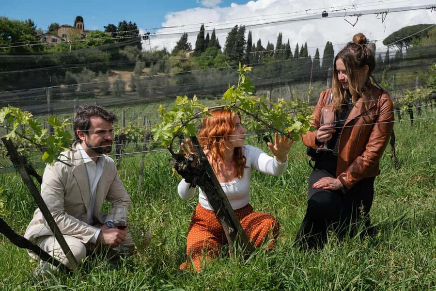 Siena: Educational Wine Tour & Tasting - Key highlights