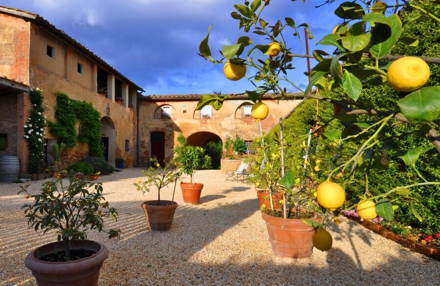 Siena: Educational Wine Tour & Tasting - Light Lunch With Tuscan Specialities, Not Just a Token Bite
