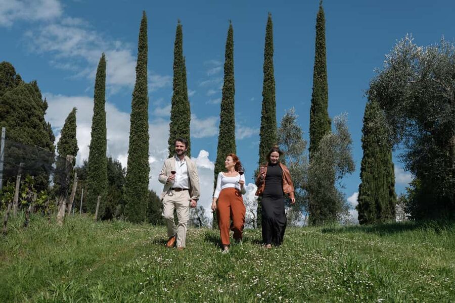 Siena: Educational Wine Tour & Tasting - Logistics From Siena: Getting There and Staying Comfortable
