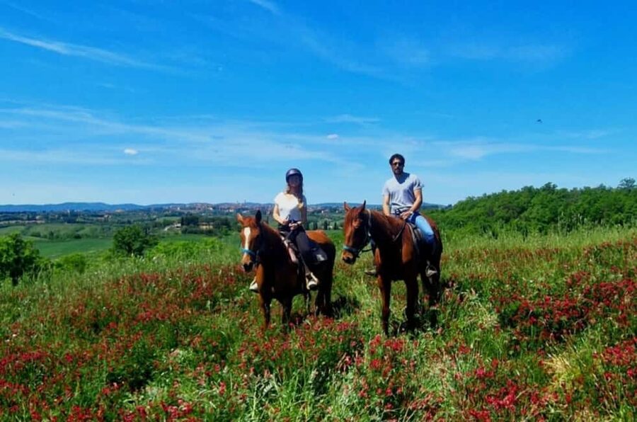 Siena: Horseback Riding Tour in the Tuscany Countryside - Horseback Through Real Tuscan Country Near Siena