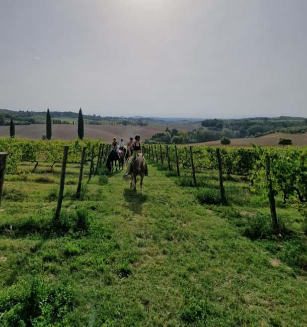 Siena: Horseback Riding Tour in the Tuscany Countryside - The Ride Flow: What Happens From Start to Finish