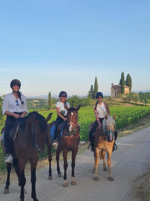 Siena: Horseback Riding Tour in the Tuscany Countryside - What Guides Teach You: Plants, Animals, and Local Stories