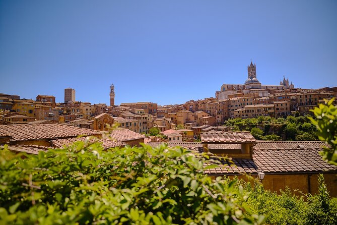 Siena, San Gimignano and Chianti Wines Day Tour from Florence - Setting Off From Florence, Then Letting the Countryside Do the Work