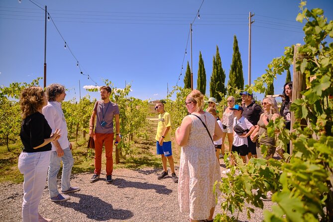 Siena, San Gimignano and Chianti Wines Day Tour from Florence - Monteriggioni Hilltop Fortress, Fast Photos and Optional Wall Time