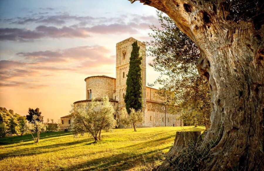 Siena: San Gimignano, Chianti & Montalcino Small-Group Tour - San Gimignano: City of Fine Towers, plus Vernaccia on the menu