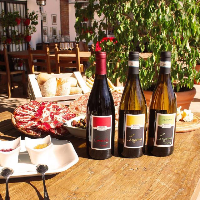 Sirmione: Vineyard Tour with Lugana Wines and Local Tastings - Should You Book This Lugana Wine Tour?