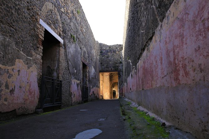 Skip the Line Guided Tour of Pompeii led by an Archaeologist - The Forum: how Roman life played out in the city square