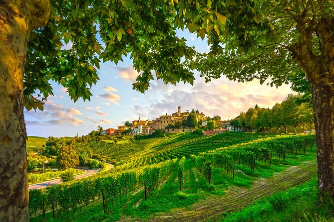 Small-Group Barolo Wine Tasting, Alba & UNESCO Piedmont Hills - Family Winery Cellar Access and the Real Barolo Rules