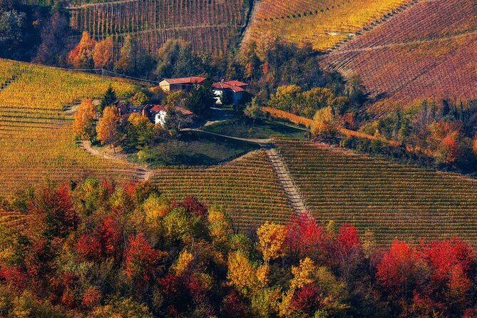 Small-Group Barolo Wine Tasting, Alba & UNESCO Piedmont Hills - Should You Book This Barolo Wine Tasting Tour From Milan?