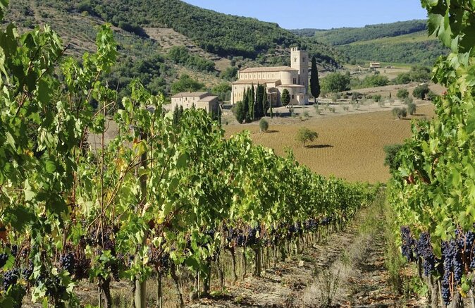 Small-Group Brunello di Montalcino Wine-Tasting Trip from Siena - Key highlights to look for